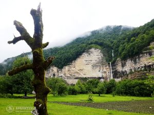 batumi_prirodnye_chudesa_gruzii13