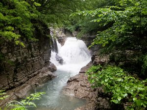 batumi_prirodnye_chudesa_gruzii15