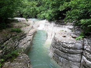 batumi_prirodnye_chudesa_gruzii16