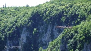 batumi_prirodnye_chudesa_gruzii26