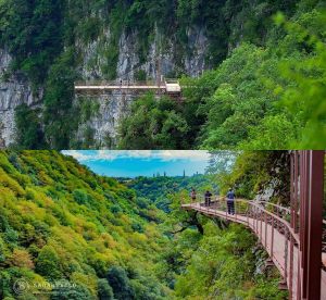 batumi_prirodnye_chudesa_gruzii28