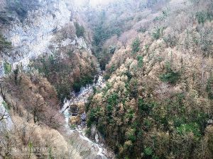 batumi_prirodnye_chudesa_gruzii4