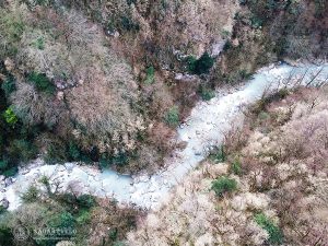 batumi_prirodnye_chudesa_gruzii8